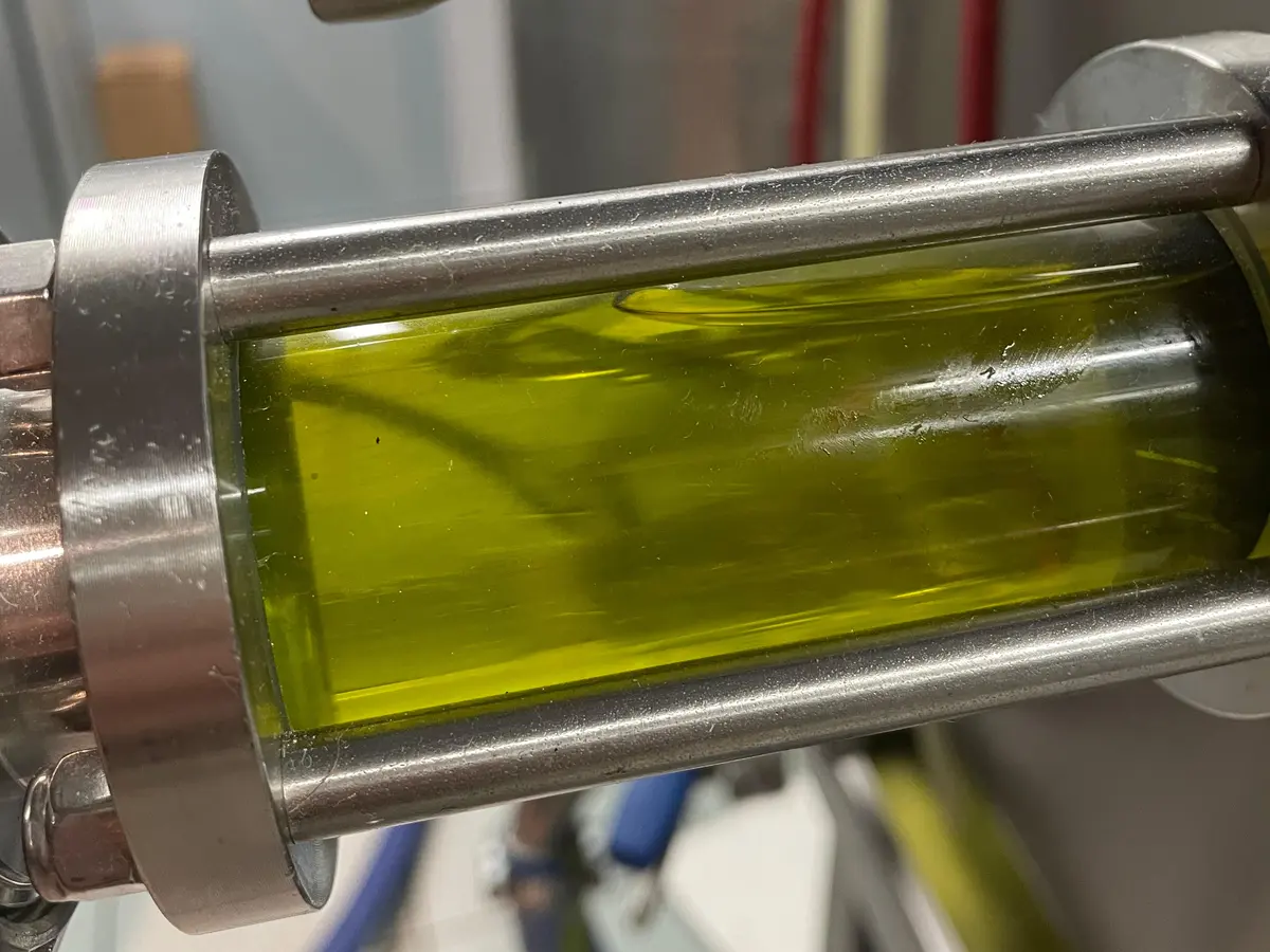 La Regina nella spia di vetro del filtro