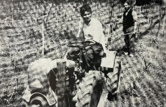 Foto d'archivio: papà Michele sul trattore e nonno Santino Vincenzo
